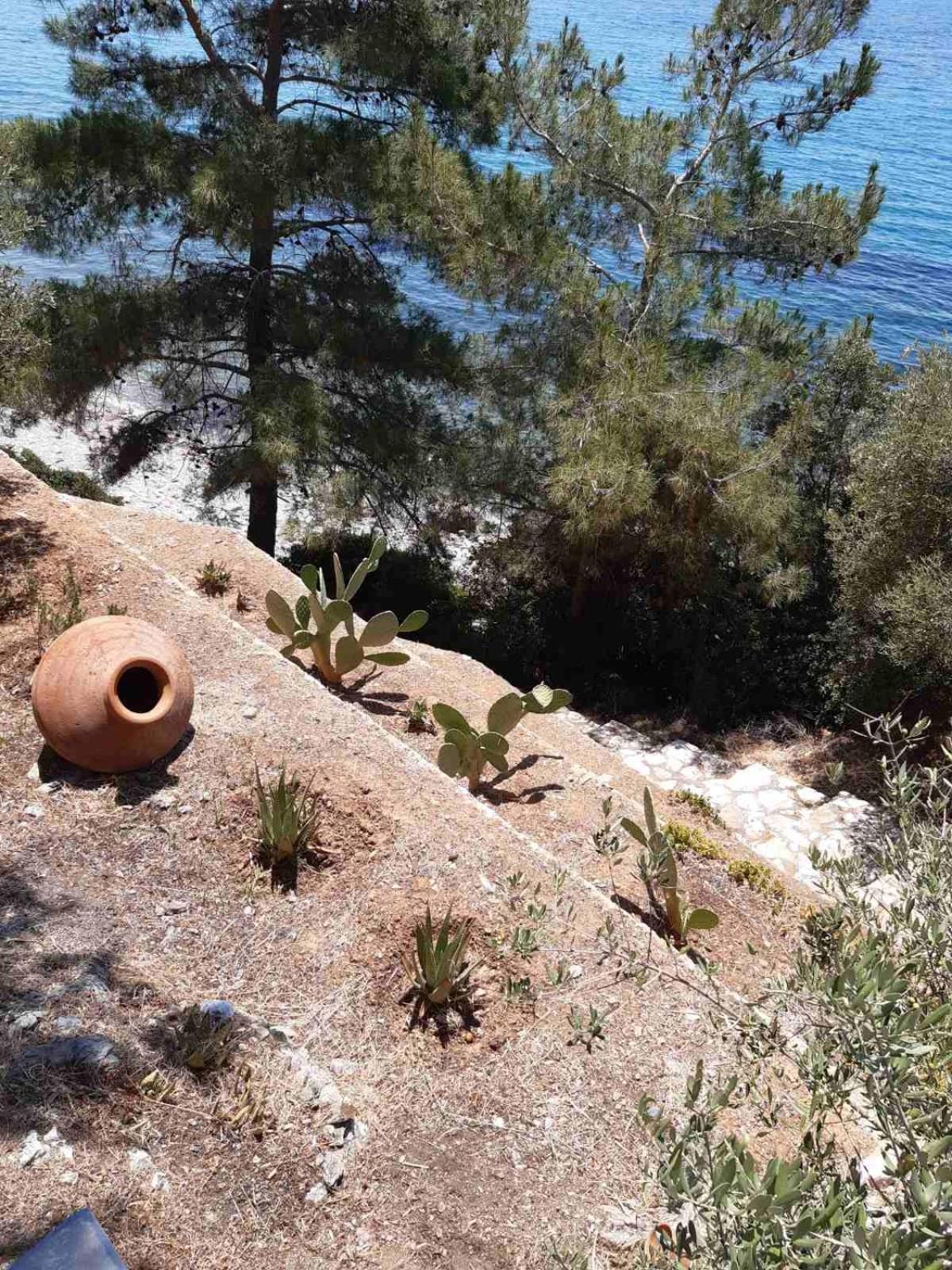 Δωμάτια Κόκκινος Πύργος Plomari Exterior photo