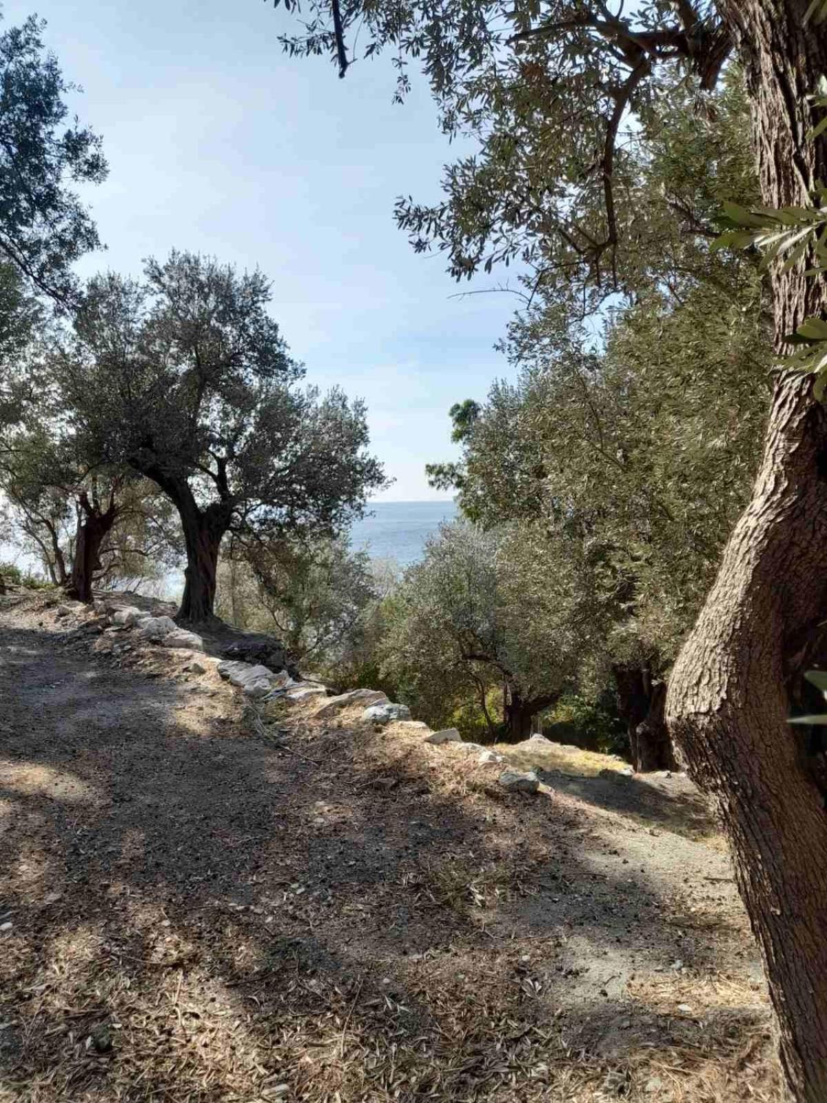 Δωμάτια Κόκκινος Πύργος Plomari Exterior photo